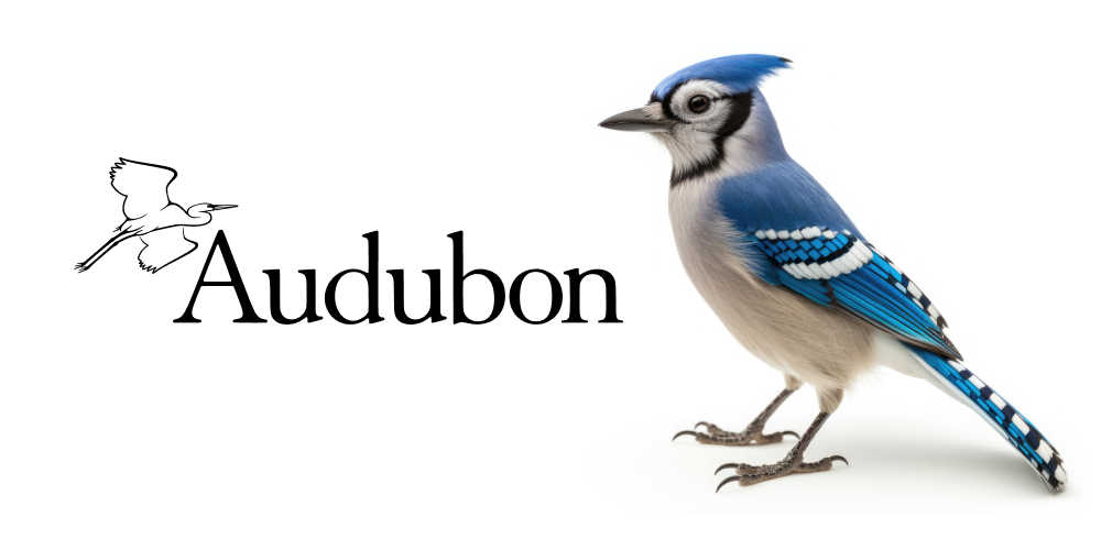 National Audubon Society